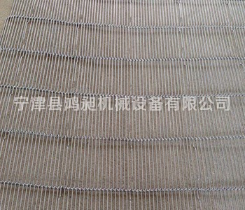 不銹鋼乙字型網帶